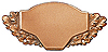 mit Gravurfeld