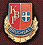 Wappenabzeichen