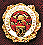 Feuerwehrabzeichen
