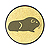 Meerschweinchen