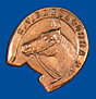 Pferdeabzeichen