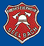 Feuerwehrabzeichen