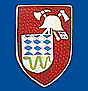 Feuerwehrabzeichen