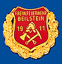 Feuerwehrabzeichen
