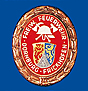 Feuerwehrabzeichen