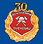 Feuerwehrabzeichen