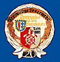 Feuerwehrabzeichen