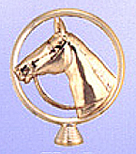 Pferdekopf