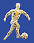 Fussball Herren