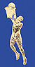 Basketball Herren