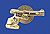 Pistole