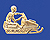 Skibob