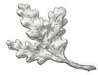 Eichenlaub