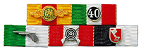 Bandspange