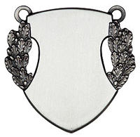 Kettenschild