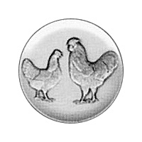 Barnevelder Hhner